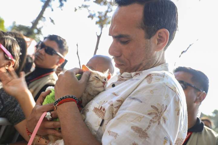 Presidente José Jerí impulsa la Adoptatón 2025 en apoyo a la adopción de mascotas