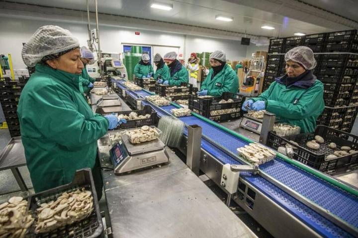 El paro sube en seis personas en noviembre