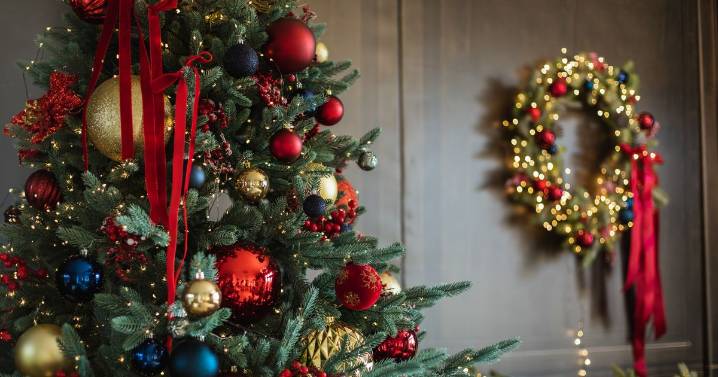 What small 'clumps' on your Christmas tree could be and why you should remove them now