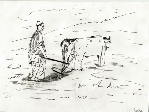 Jammu Kashmir Installs 3,601 Solar Agri Pumps Under PM