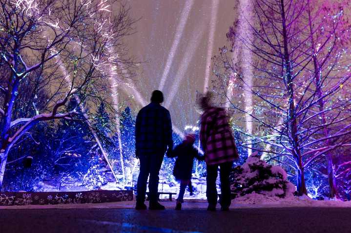Find holiday magic at this mile-long dazzling display in Michigan