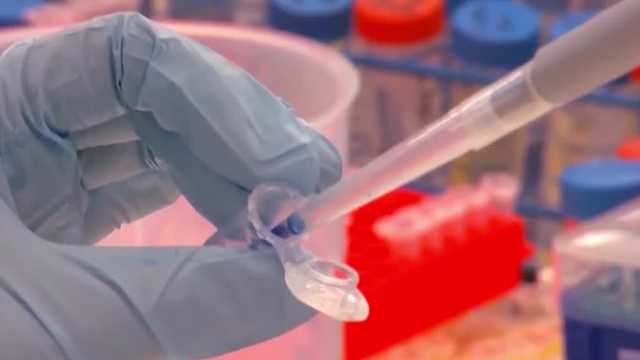 State finds no Legionella bacteria at Crunch Fitness Ocoee