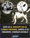 El famoso Snoopy - EXTRA | El Diario de Todos
