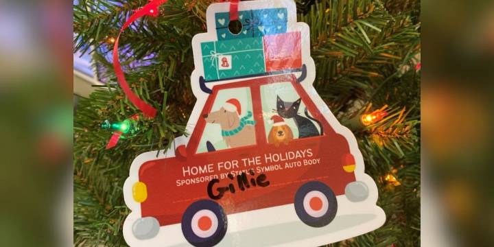 Help Colorado Springs animals go ‘Home for the Holidays’!