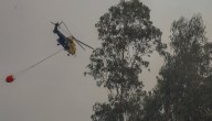 Controlaron incendio forestal que consumió 1 hectárea y que obligó a declarar Alerta Roja en Olmué: no hubo amenaza a viviendas