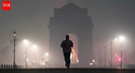 We don't go by external rankings on climate, pollution: Govt