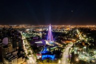 Se encendió el tradicional Árbol de Navidad montado sobre el Faro del Bicenteneraio