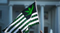 Pot stocks surge as Trump readies to loosen regulations