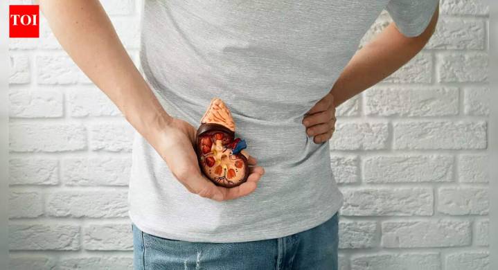 Recurring kidney stones: Key causes, warning signs, symptoms and how to reduce risk