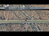 Cow dies after struck by Vail district school bus