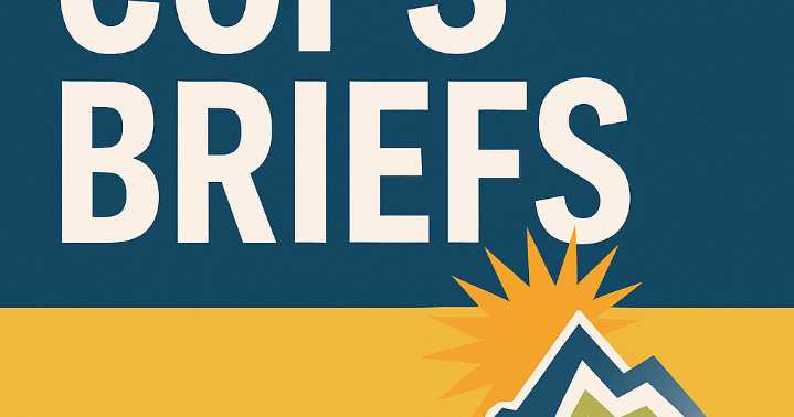 COPS BRIEFS: CHP arrests woman for alleged DUI near checkpoint