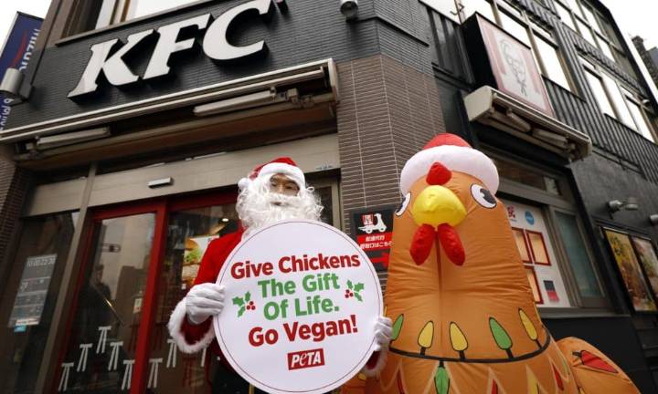 PETA denuncia maltrato en granjas de KFC en Japón, donde el pollo frito reina en navidad