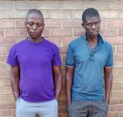 TWO NABBED FOR VANDALIZING ESCOM PROPERTY