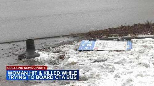 Chicago crash: Woman struck, killed by CTA bus in South Shore Identified as Tracy Frasure