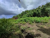 Dos robos en terrenos agrícolas se registraron en Isla de Guara este fin de semana