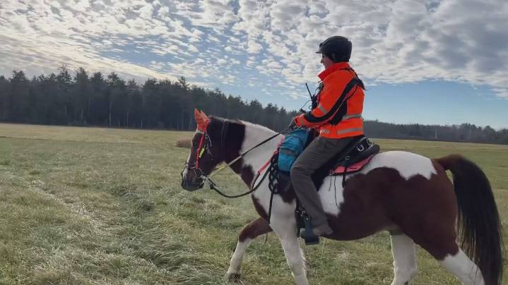 Maine search-and-rescue crews have a new resource: a horse named Kodak