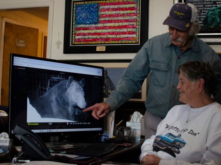 Black bear populations are bouncing back. Here's how these Texas towns are coping