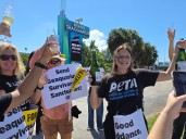 2025, el año del cierre definitivo de un sitio icónico y polémico en Miami