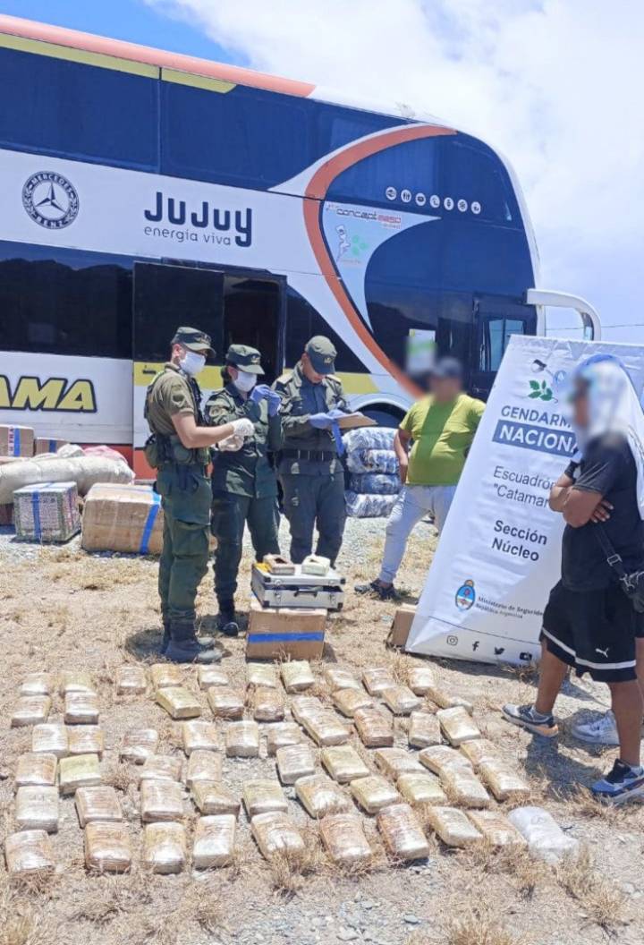 Incautan más de 65k de marihuana en mochilas infantiles