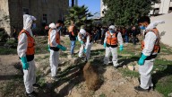 Dozens of bodies hastily buried at al-Shifa Hospital moved to graveyards