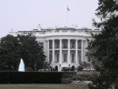 White House denies rumours
