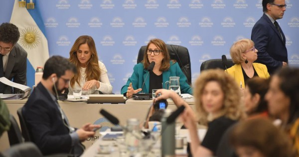 Fentanilo contaminado: la Comisión Investigadora presentó informe con recomendaciones sanitarias