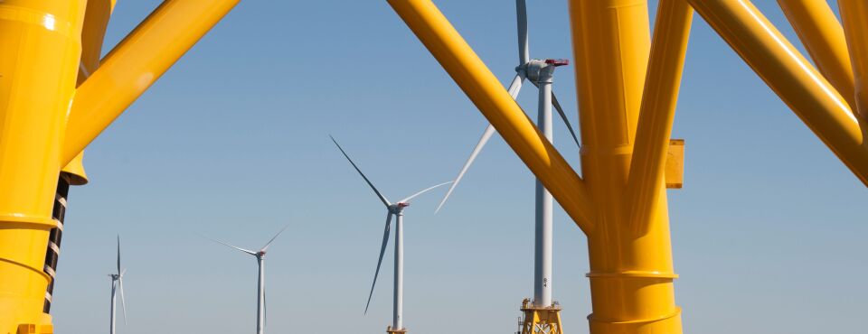 Trump Ban on Wind Energy Projects Ruled Illegal by US Judge (3)