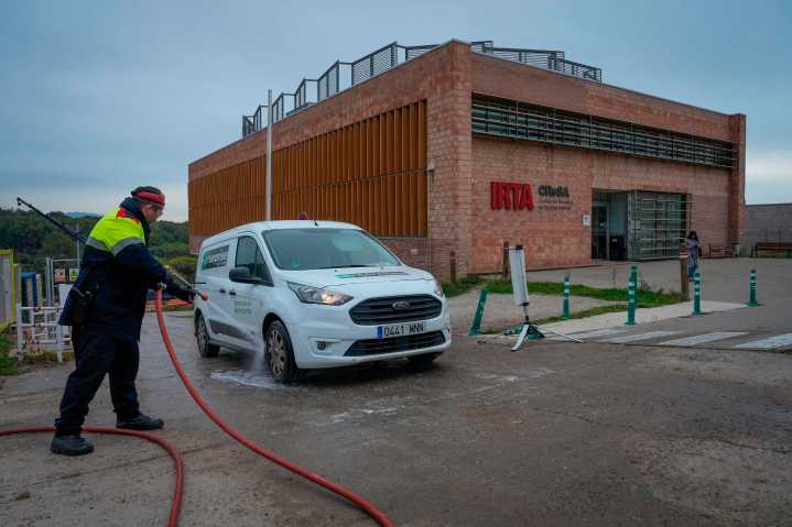 El Gobierno y la Guardia Civil investigan si el virus de la peste porcina salió de un laboratorio