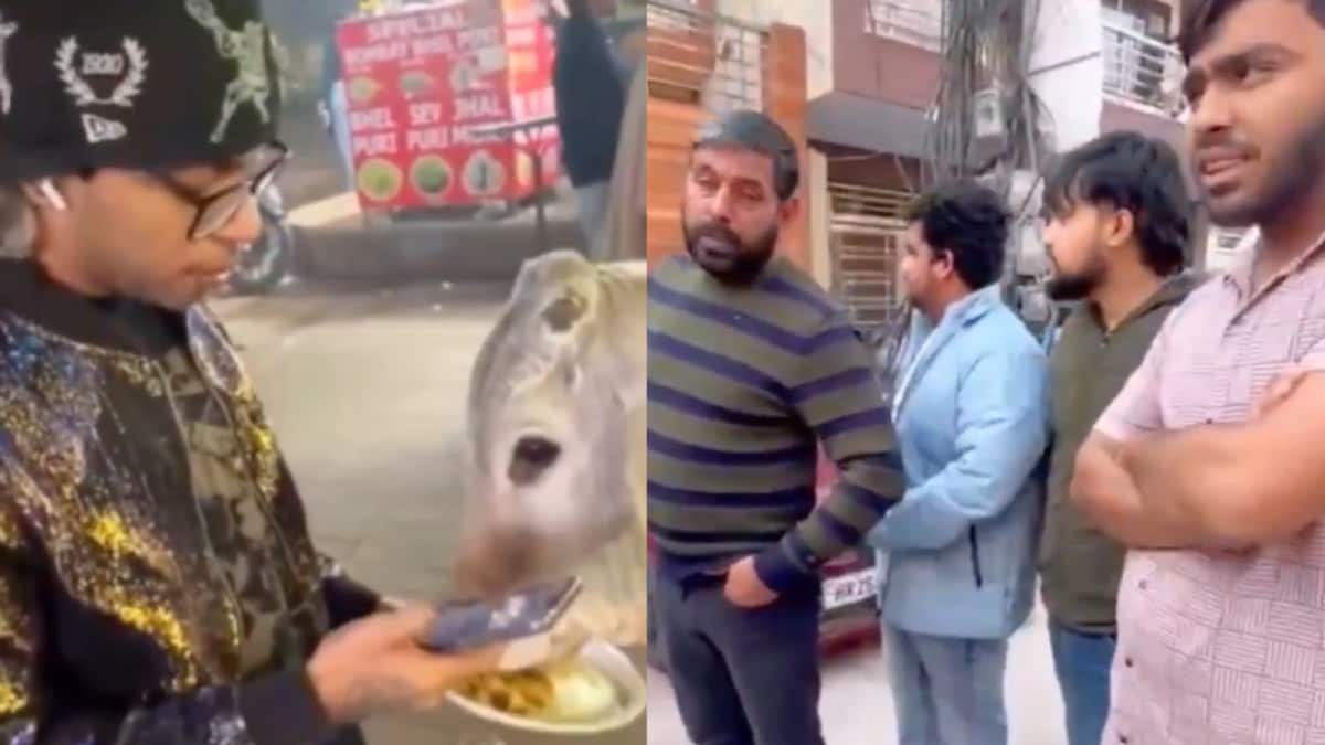Delhi University Student Feeds ‘Chicken Momos’ To Cow In Gurugram, ‘Hindu Activists’ Track Down & Beat Him Up