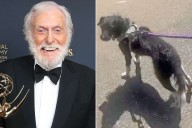 Dick Van Dyke Thought He Swallowed His Dentures, but His Dog Had Them