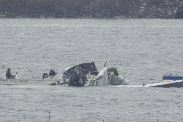 US transportation chief says he will ensure safety of DC air traffic