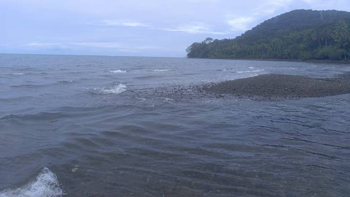 Gestión del Riesgo establece lo que se puede esperar en costas colombianas tras fuerte sismo en Japón