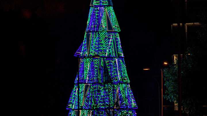 La ruta de los árboles de Navidad: estos son los 13 grandes abetos desplegados en Madrid