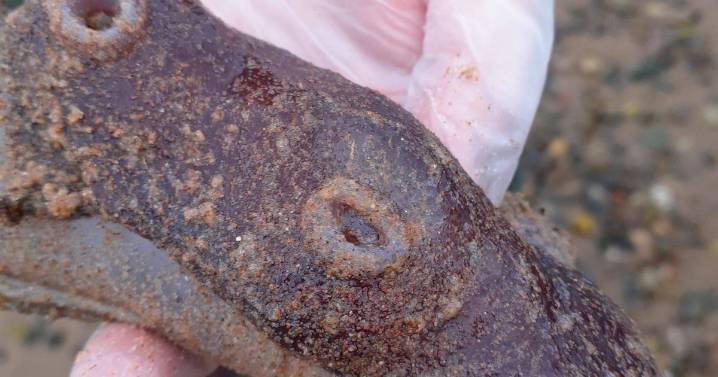 Giant 'gelatinous' octopus 'willy' washes up on Scottish beach leaving locals baffled