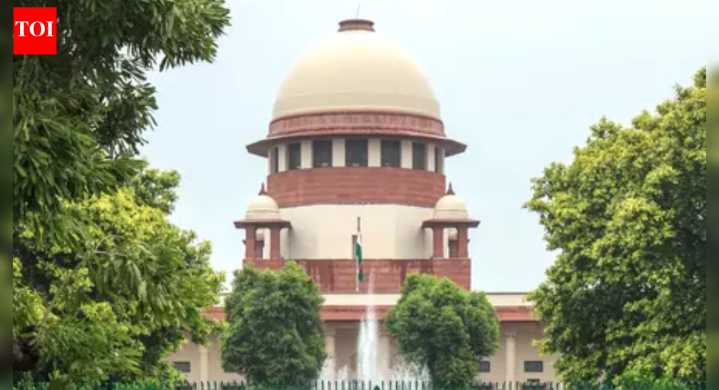 'Something wrong in HC': SC scraps plea against SIT probe into Karur stampede; TN govt says won't interfere with CBI investigation