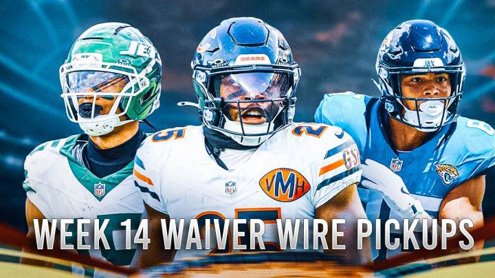 Fantasy Football: Top 10 waiver wire pickups for Week 14