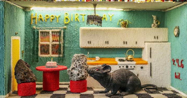 The tiny Bywater Museum of Unnatural History may be 'the embodiment of dreams and storytelling'