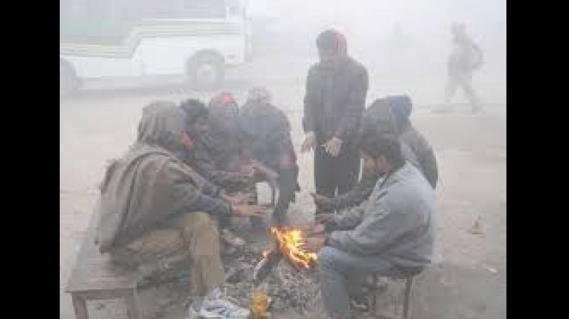 Cold Wave Alert: Punjab and Haryana Experience Sub-Normal Temperatures, Faridkot Coldest