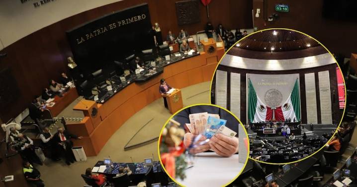 Mientras los diputados recibirán de aguinaldo un total de 304 mil 48 pesos en diciembre, los senadores se ‘embolsarán’ 384 mil 700 pesos, además de vales para despensa, seguros médicos y diversas prim