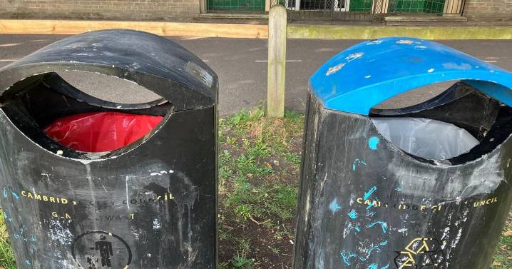 'No immediate plans' to cut number of public bins in Cambridge