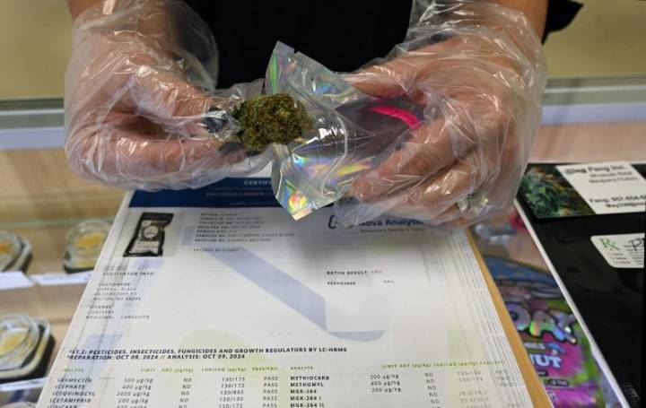 Group seeks to end recreational cannabis sales in Maine