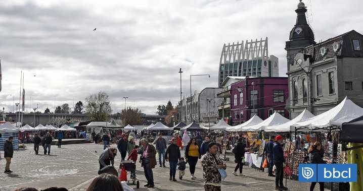 Tras años de postergaciones: publican licitación para doble vía en accesos norte y sur de Valdivia