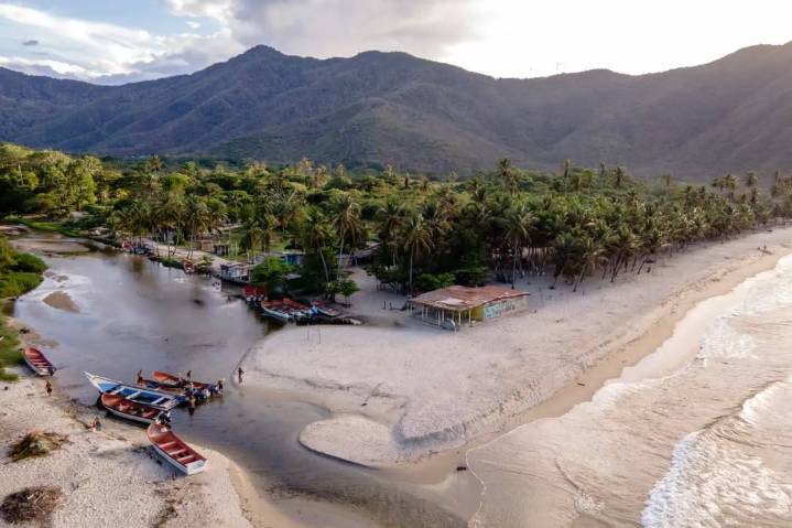 Instan a fortalecer una economía sustentable basada en la “Venezuela Azul”