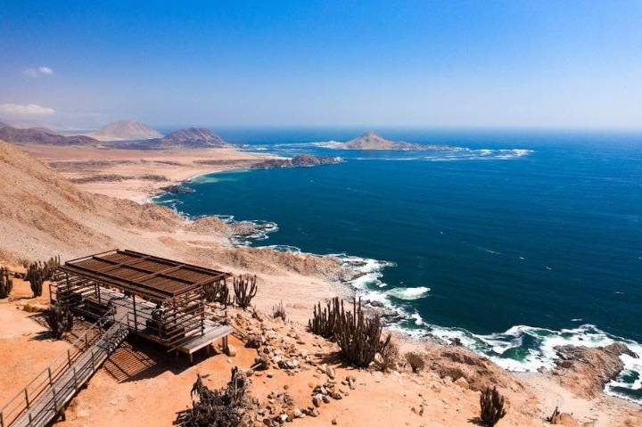 Lugares turísticos en Chile: cómo llegar al Parque Nacional Pan de Azúcar