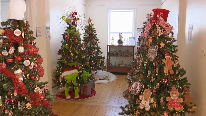 Who says decorating can't be competitive? Check out the battle for the best Christmas tree in Torbay