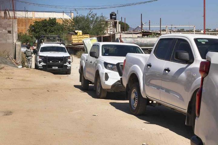 Aseguran a un jaguar, un león y otras especies exóticas halladas en predio de Baja California Sur