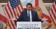 DeSantis propone Declaración de Derecho del ciudadano frente a IA y limitar expansión de centros de datos en Florida