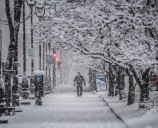 Milwaukee’s Winter Parking Regulations: What You Need to Know