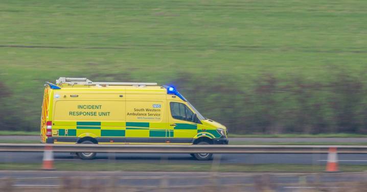 Teenage M5 crash victim was tasered before he died