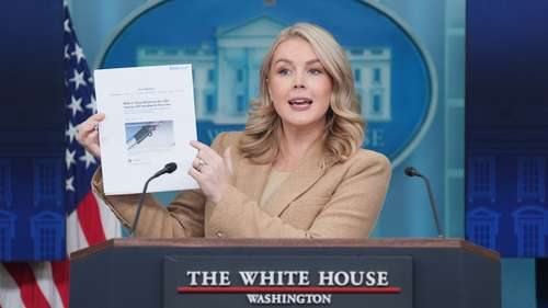 Mother of Leavitt's nephew ordered released from DHS custody